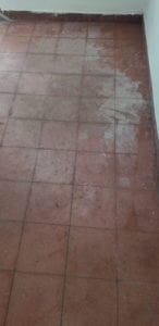 20190411_083334
