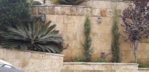 אחרי ניקוי